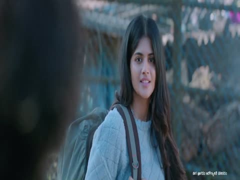 Gurthunda Seethakalam 2022 in Hindi