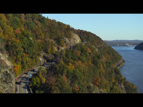 Happiness for Beginners 2023 in Hindi Dubb