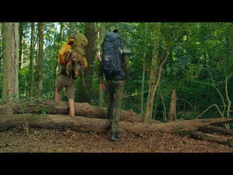 Happiness for Beginners 2023 in Hindi Dubb