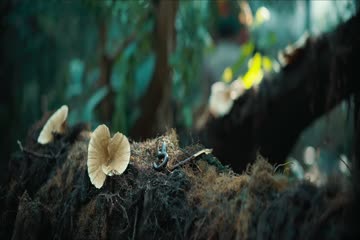 Heaven 2022 in Hindi