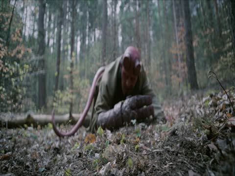 Hellboy The Crooked Man 2024 Dubb in Hindi