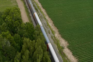 Home Team 2022 Hdrip dubbed in hindi