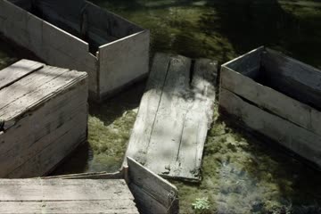 Howlers 2019 dubb in Hindi