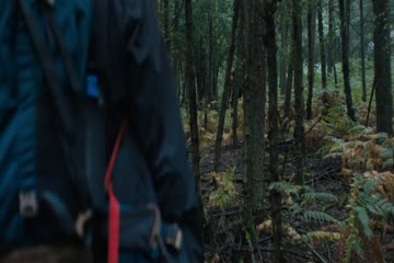 In the Earth 2021 in Hindi Dubbed