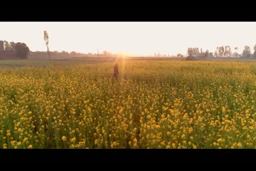 Jamraud 2021 hd print