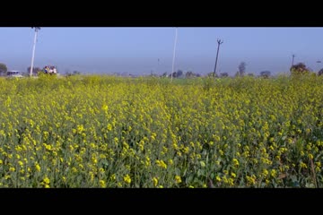 Jatts in Golmaal 2013