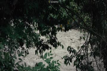 Jungle 2017 Dubbed in Hindi