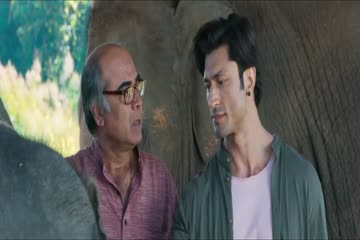 Junglee 2019
