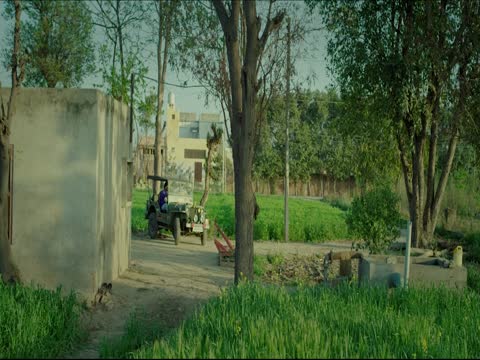 Kabutrabaaz 2025 Punjabi