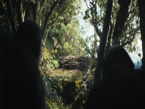 Kingdom of the Planet of the Apes 2024 Hindi Dubb