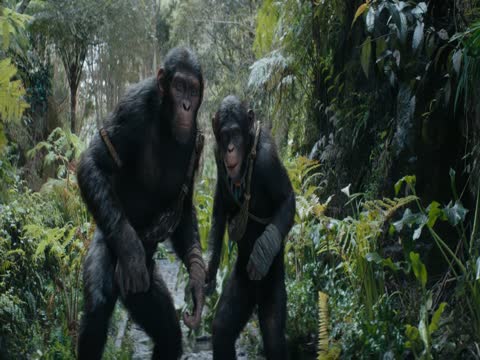 Kingdom of the Planet of the Apes 2024 Hindi Dubb