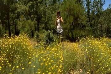 Lady of the Damned Forest 2017 in Hindi