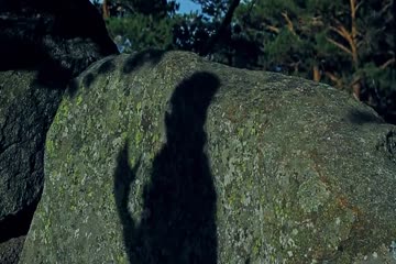 Lady of the Damned Forest 2017 in Hindi