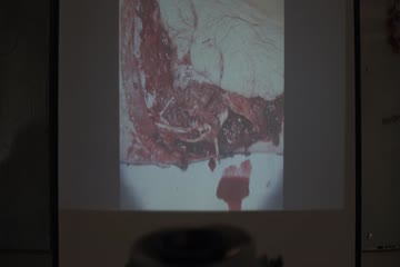 Maneater 2022 in Hindi Dubb