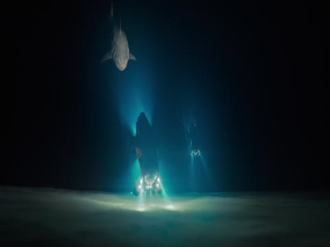 Meg 2 The Trench 2023 Hindi Dubb