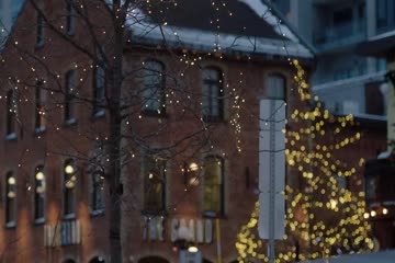 Midnight at the Magnolia 2020 Dubbed in Hindi