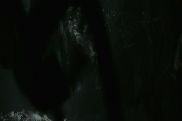 Monster Hunter 2020 in Hindi Dubbed