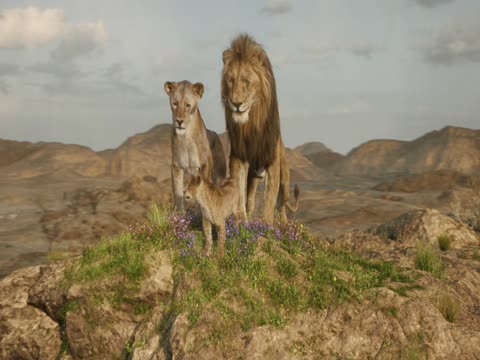 Mufasa The Lion King 2024 dubb Hindi