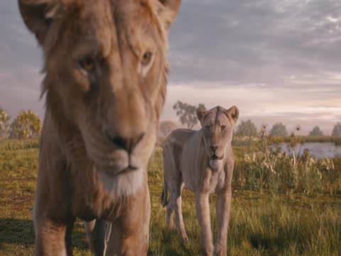 Mufasa The Lion King 2024 dubb Hindi