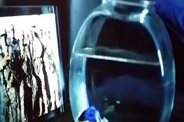 My Spy 2020 Dubb in Hindi