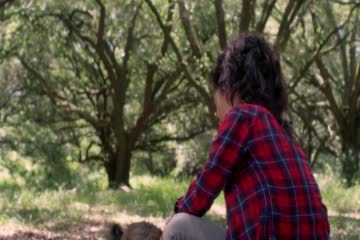 Night of the Wild TV Movie 2015 in Hindi