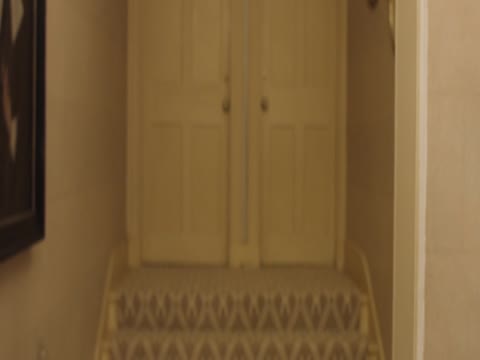 Onus 2020 Hindi Dubb