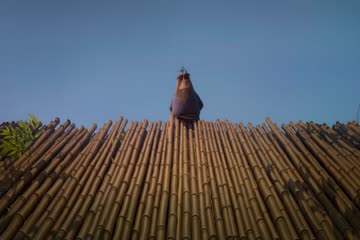 Paws of Fury The Legend of Hank 2022 Dubb in Hindi