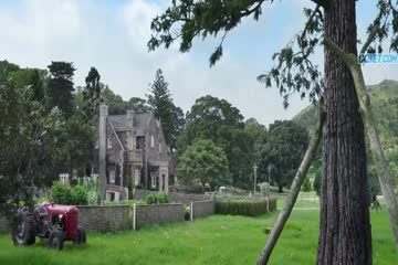 Peter Rabbit 2 The Runaway 2021 in hindi dubb