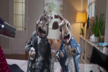 Peter Rabbit 2 The Runaway 2021 in hindi dubb