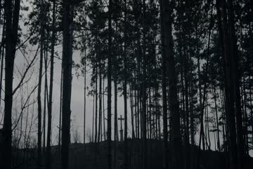 Post Mortem 2020 in hindi dubb