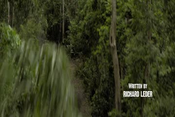 Primal 2019 Dubbed in Hindi