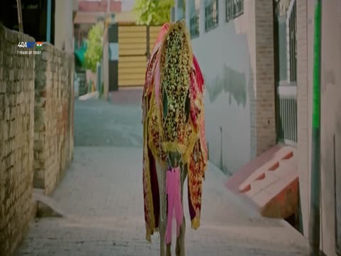 Punjabi Aa Gaye Oye 2025 Punjabi