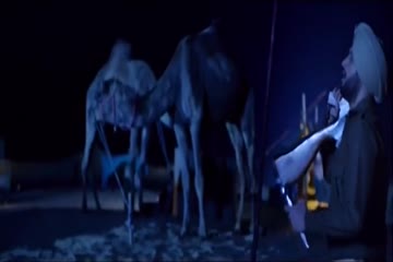 Ranjha Refugee 2018