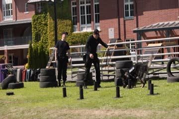 Rescued by Ruby 2022 Hdrip in hindi dubb