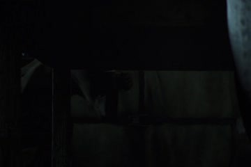 Resident Evil Damnation 2012 in Hindi dubb