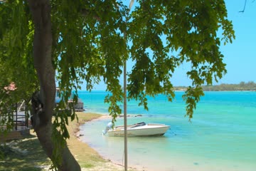 Resort to Love 2021 dubb in hindi