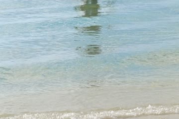 Resort to Love 2021 dubb in hindi