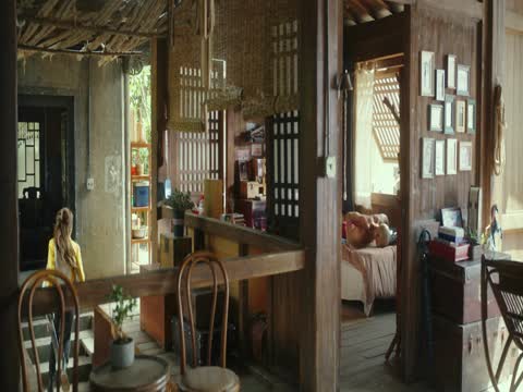 Ride On 2023 Dubb in Hindi