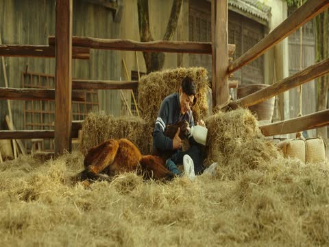 Ride On 2023 Dubb in Hindi