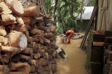 Rooting for Roona 2020 in Hindi