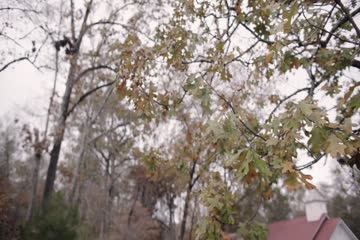 Run the Race 2018 Dubb in Hindi