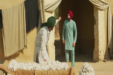 Saak 2019