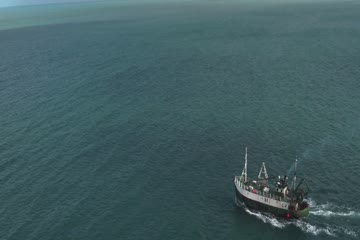 Sea Fever 2019 in Hindi Dubb