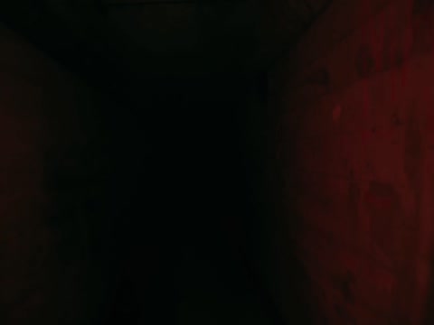 Shadow Master 2022 Hindi Dubb