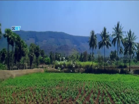 Shambhala 2025 in Hindi