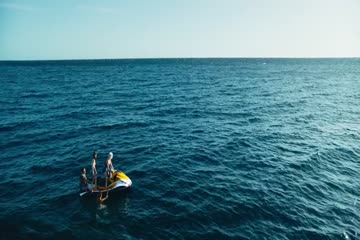 Shark Bait 2022 in hindi Dubb