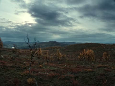 Sisu 2022 in Hindi Dubb