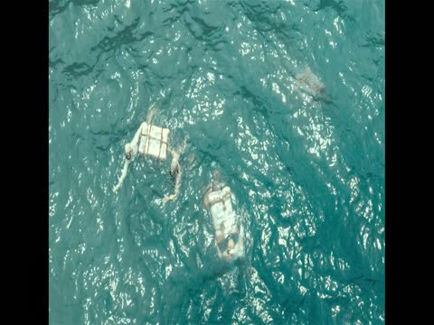 Smugglers 2023 Hindi Dub