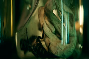 Spell 2020 BrRip in Hindi Dubbed