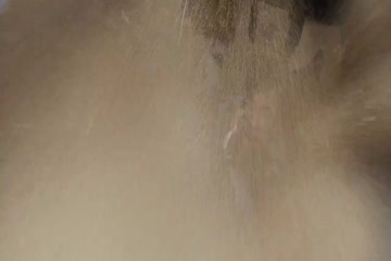 Spider-Man 3 2007 Hindi Dubb